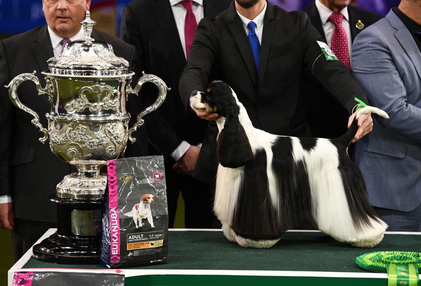 Crufts 2019