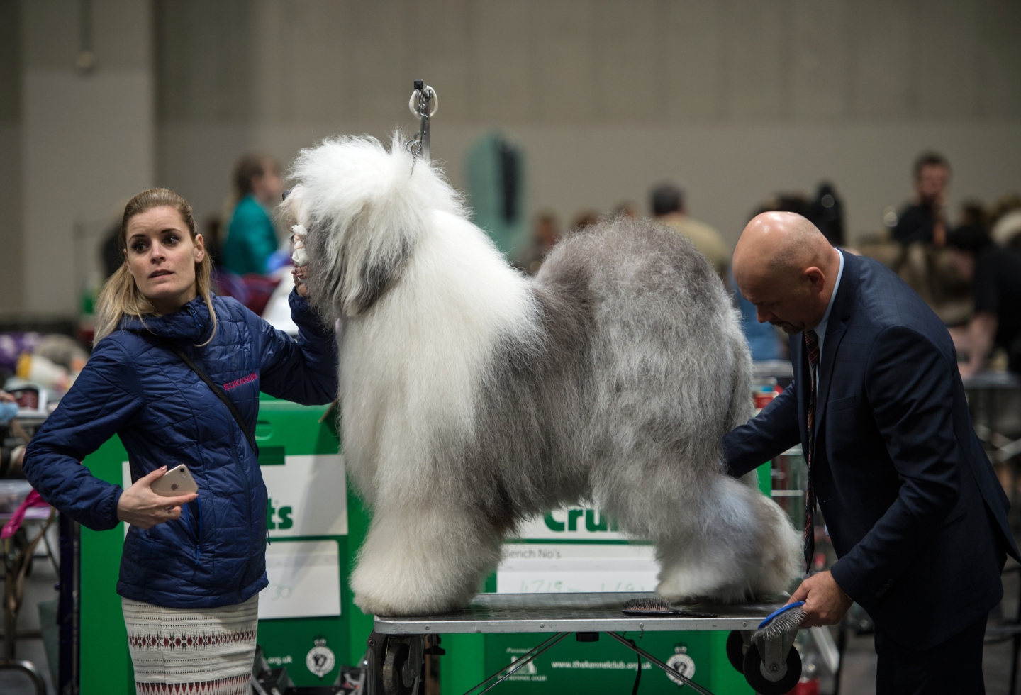Crufts 2019