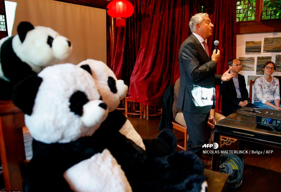 Nacen dos pandas gigantes gemelos en Bélgica