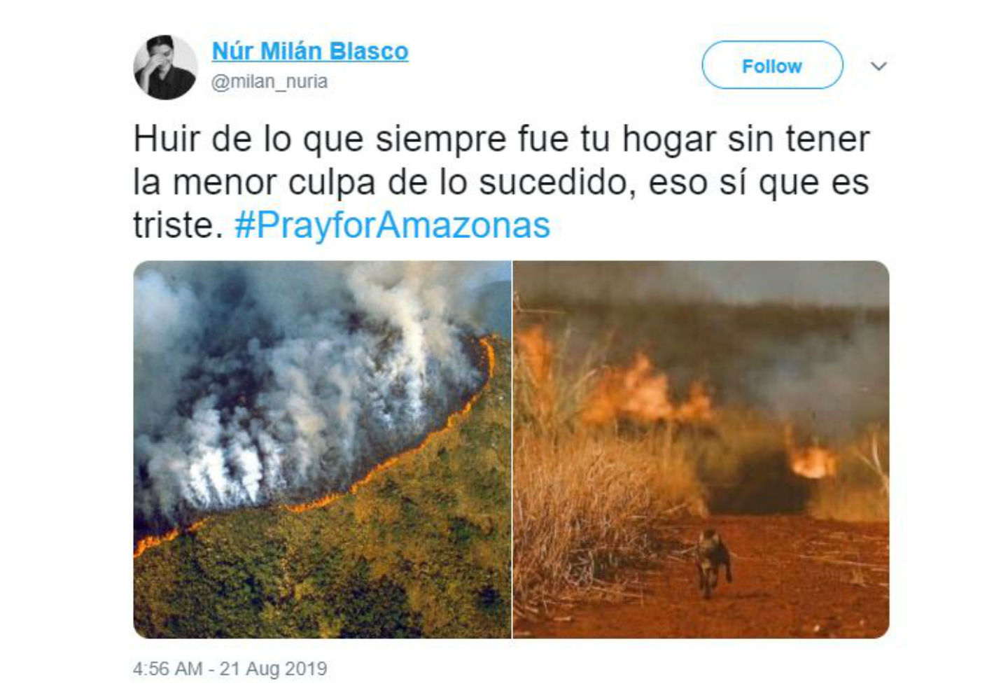 Imágenes falsas sobre incendio en la Amazonía
