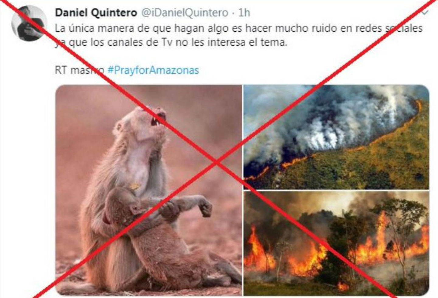 Tuit falso incendio Amazonia
