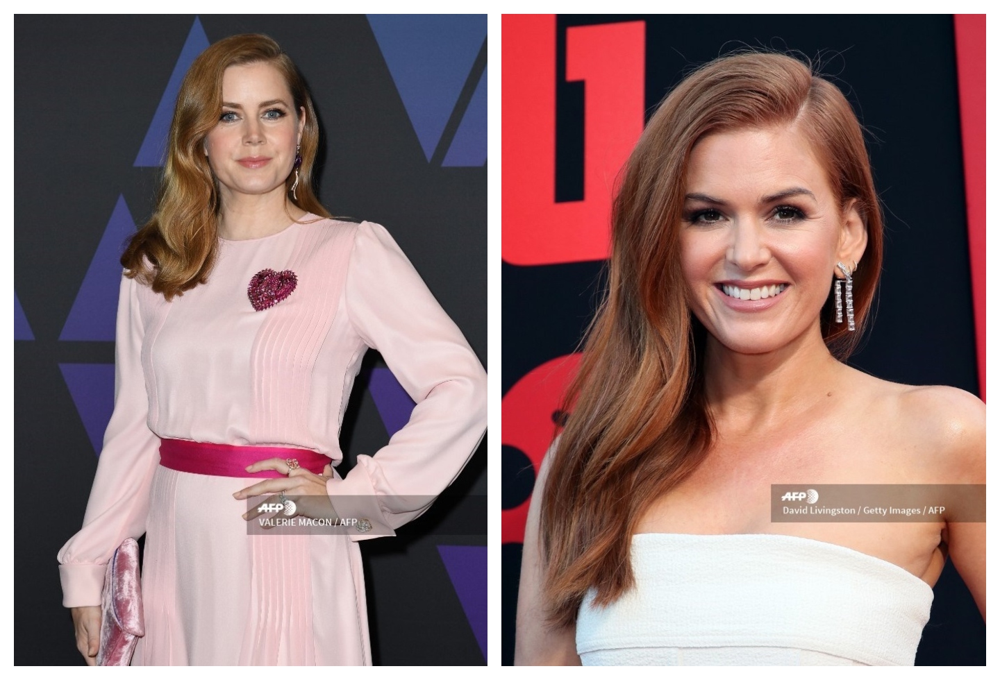 Amy Adams e Isla Fisher