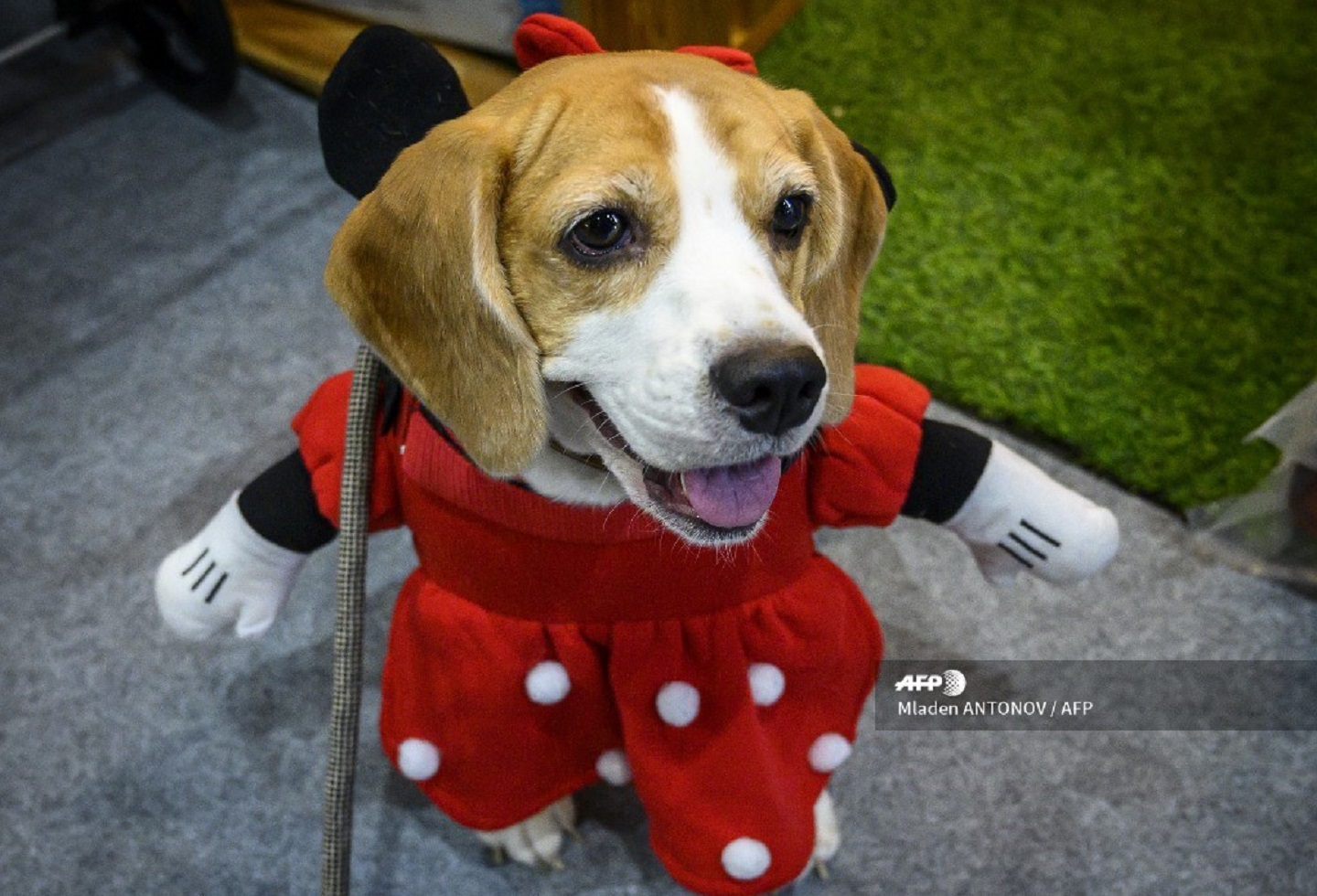 Minnie Mouse