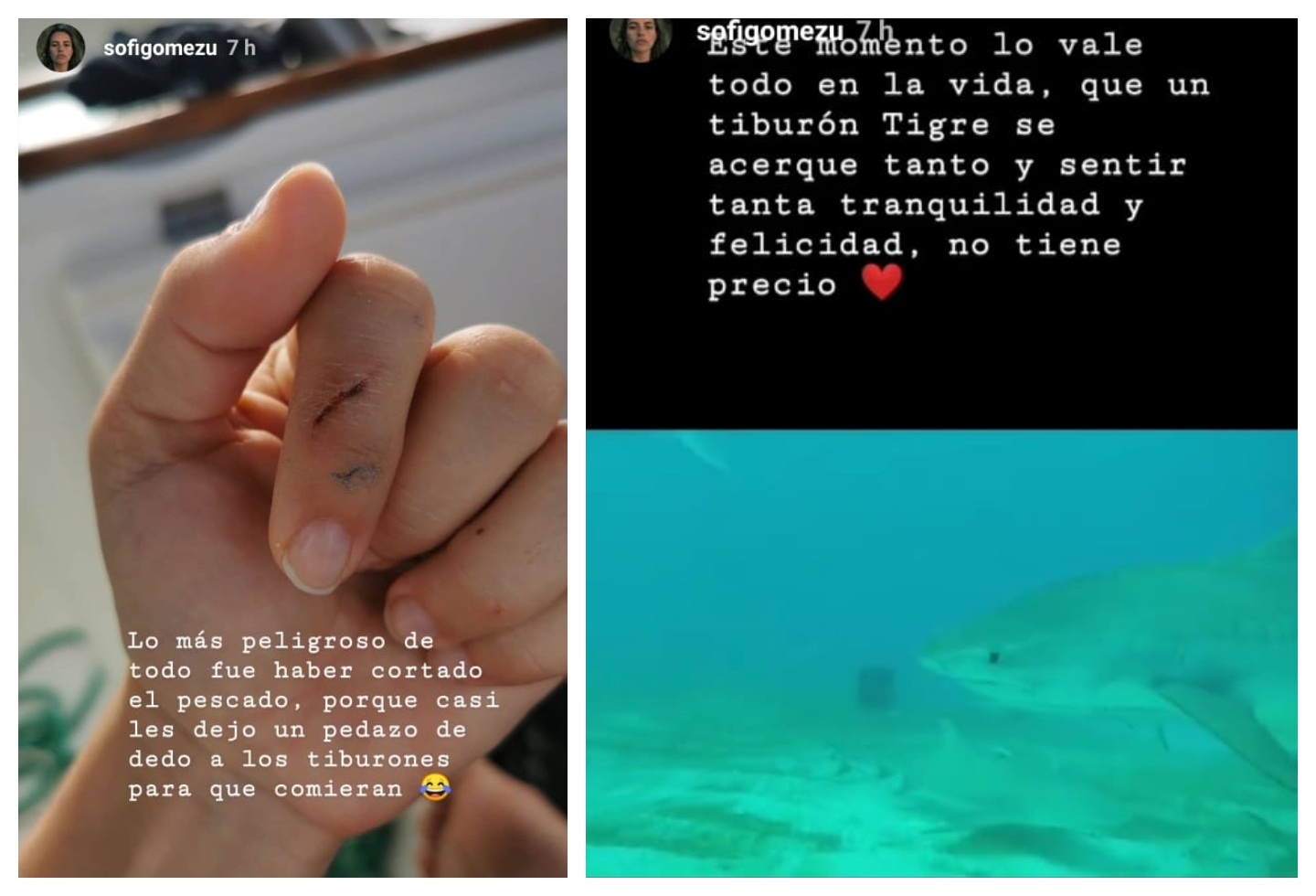 Sofía Gómez nadó con tiburones