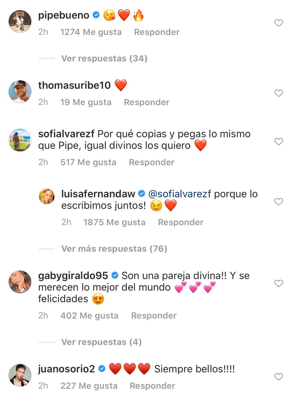 Captura Instagram - Luisa Fernanda W