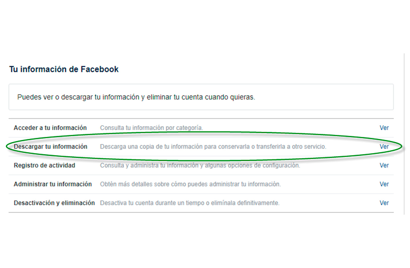 Facebook deja descargar la info del usuario