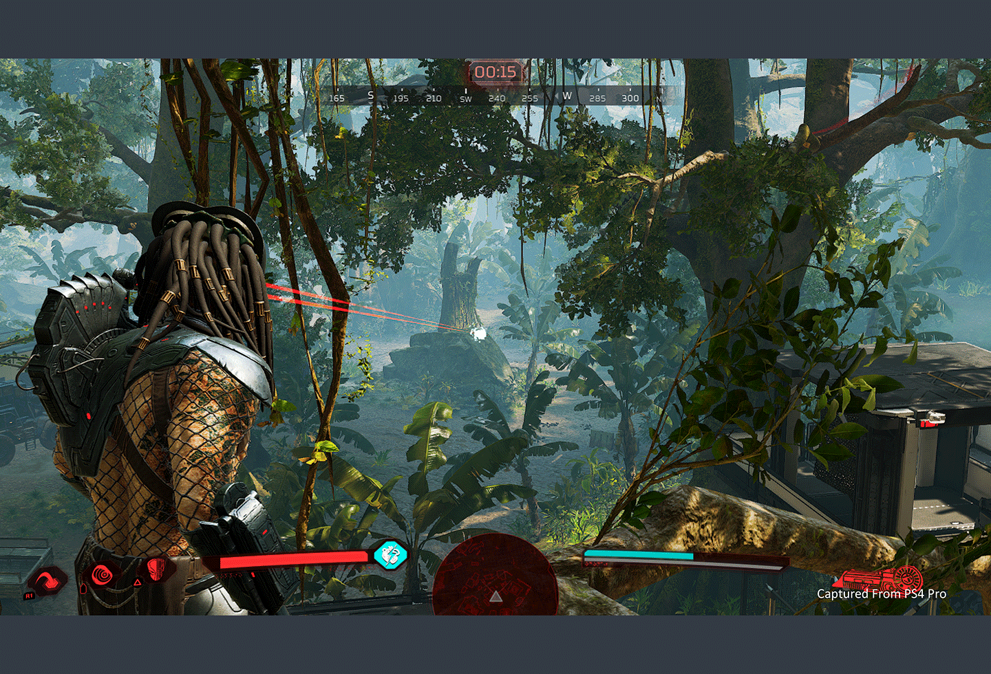 Predator Hunting Grounds