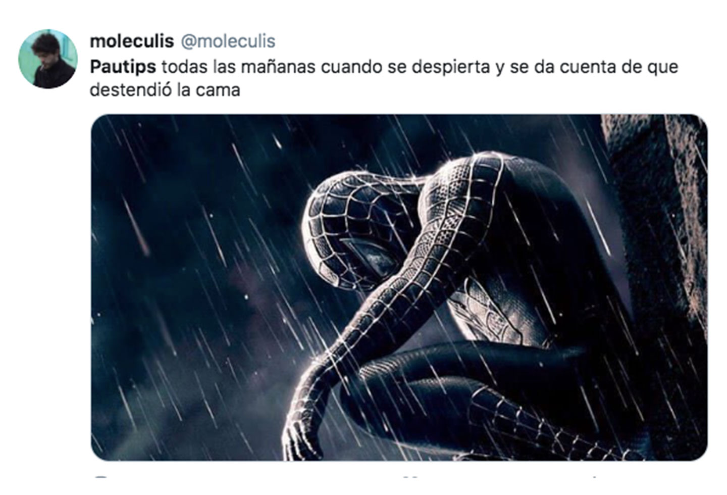 Memes Pautips