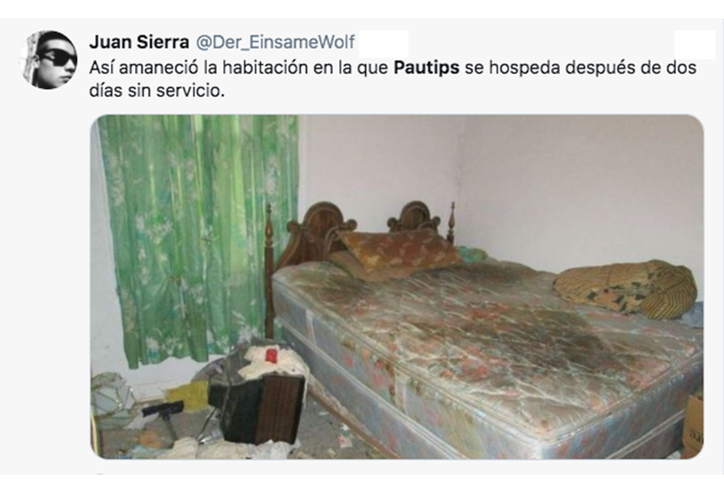 Memes Pautips