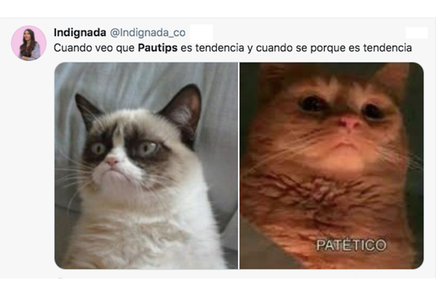 Memes Pautips