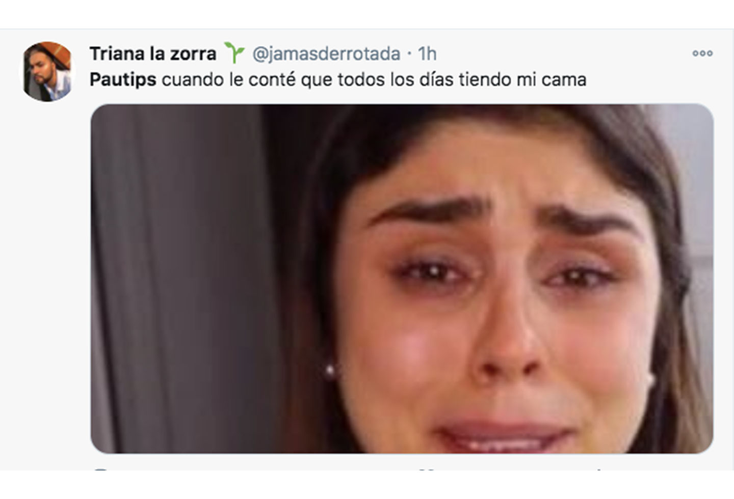 Memes Pautips