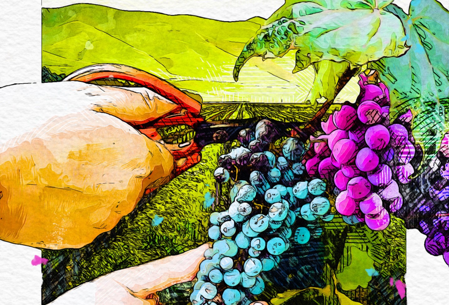 Por qué no todos los vinos son veganos