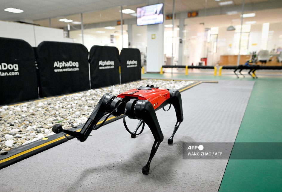 Perros-robot, el último grito tecnológico en China