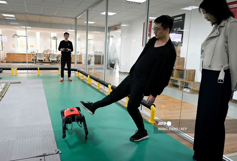 Perros-robot, el último grito tecnológico en China