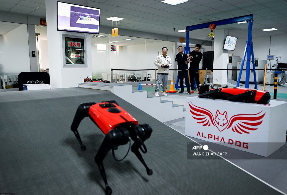 Perros-robot, el último grito tecnológico en China
