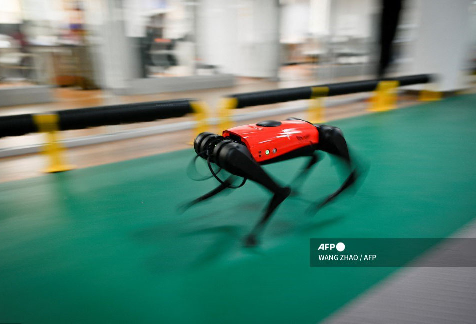 Perros-robot, el último grito tecnológico en China