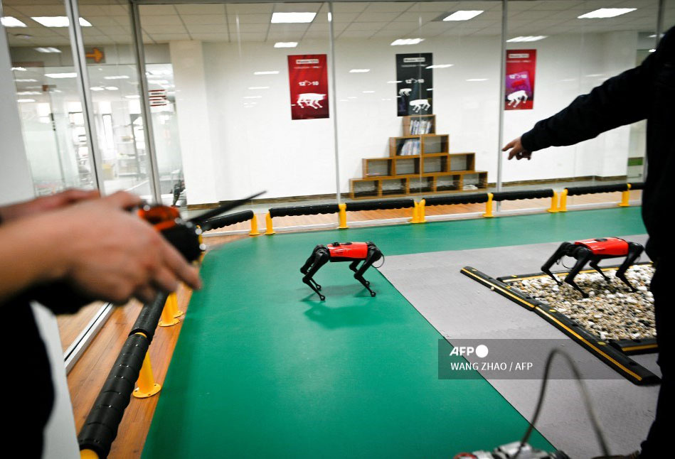Perros-robot, el último grito tecnológico en China