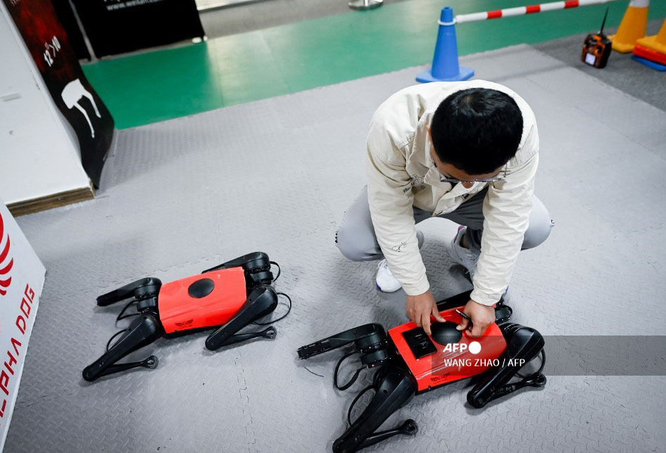 Perros-robot, el último grito tecnológico en China