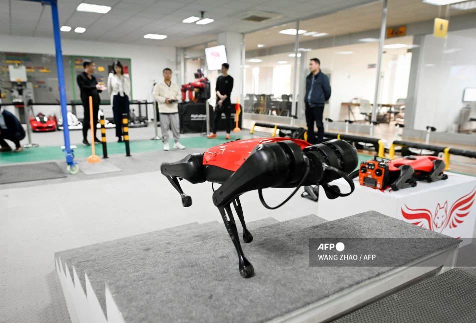 Perros-robot, el último grito tecnológico en China