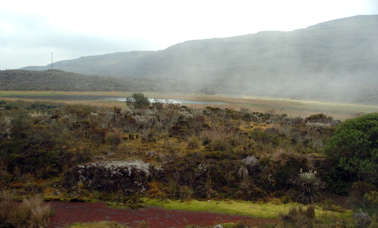 Parque Nacional Natural Sumapaz