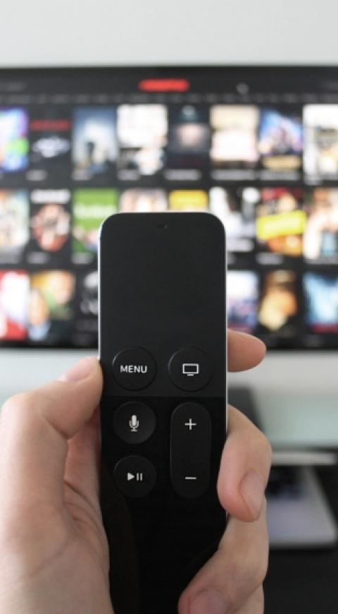 Televisor