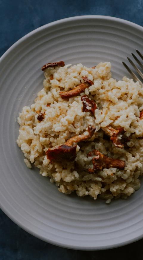 arroz