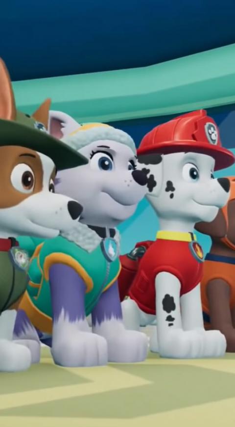 Paw Patrol