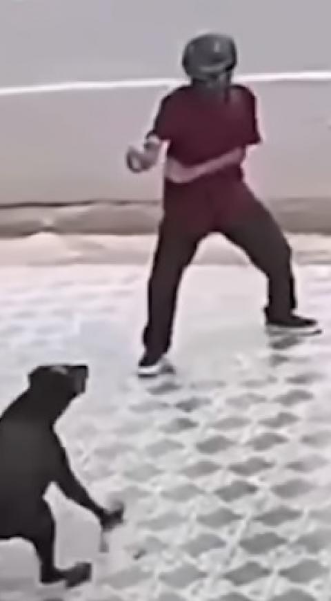 Karate Kid