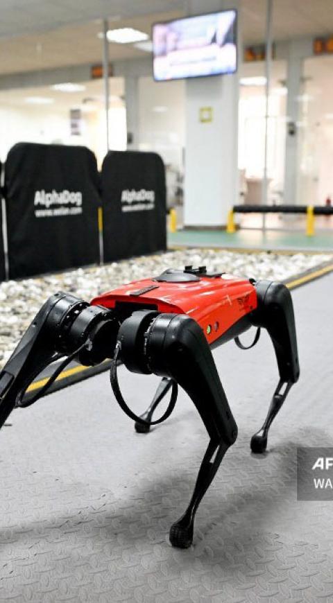 Perros-robot, el último grito tecnológico en China