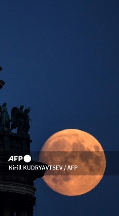 LUNA DE FRESA LUNA DE FRESA