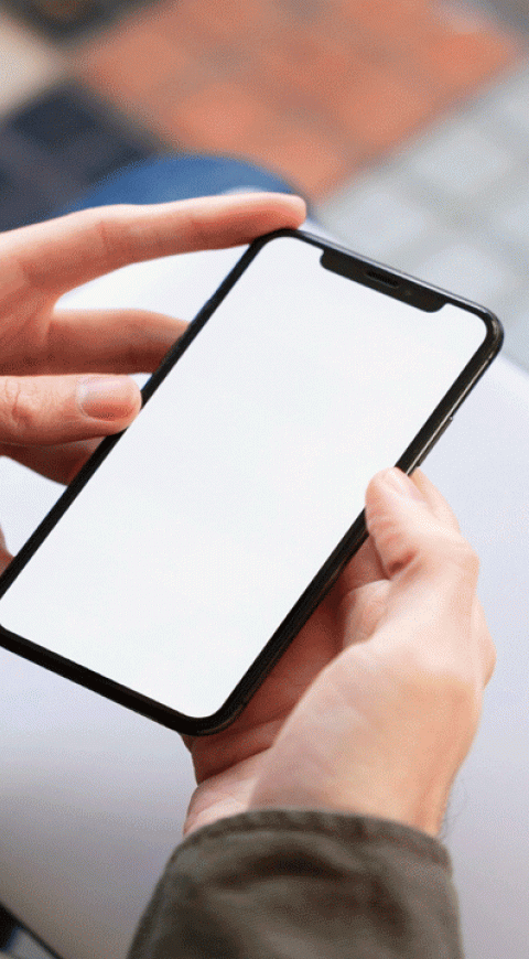 Celular Celular