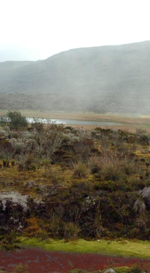 Parque Nacional Natural Sumapaz