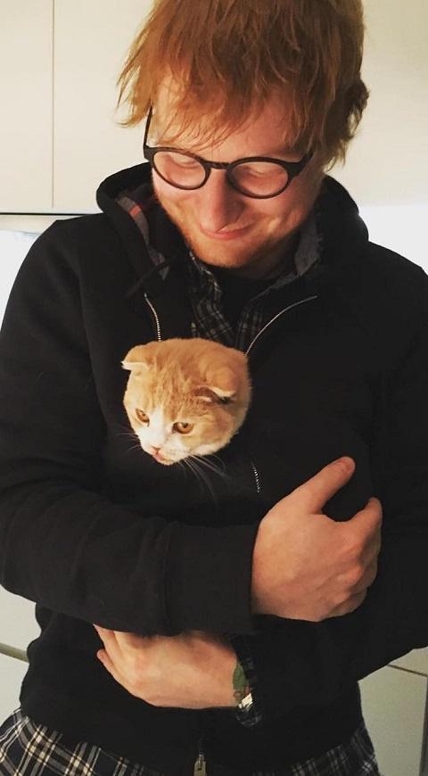 Ed Sheeran