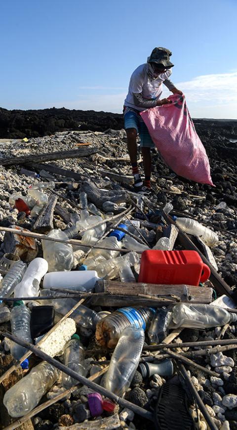 Plástico amenaza la vida en Galápagos