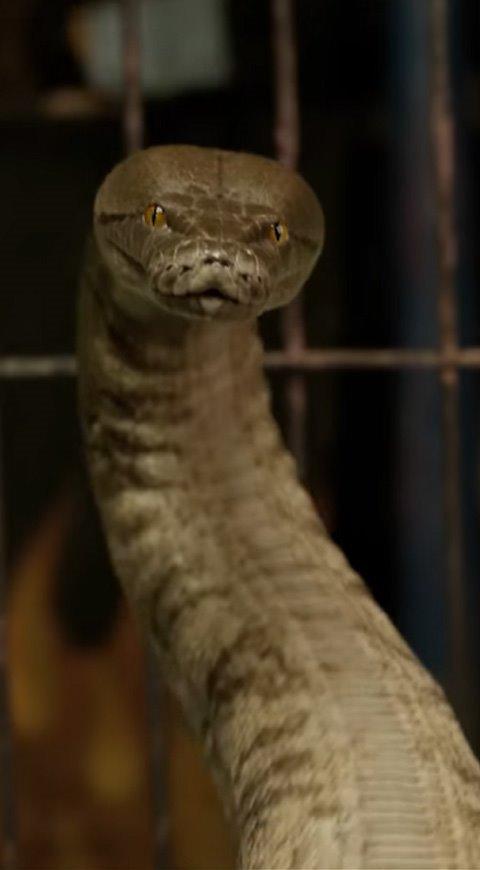 Nagini