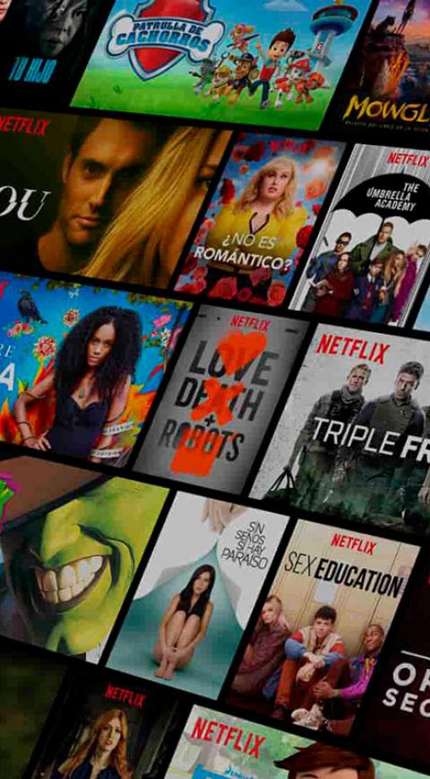Programación Netflix