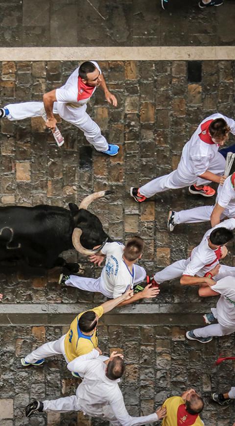 Toro en fiesta de San Fermín