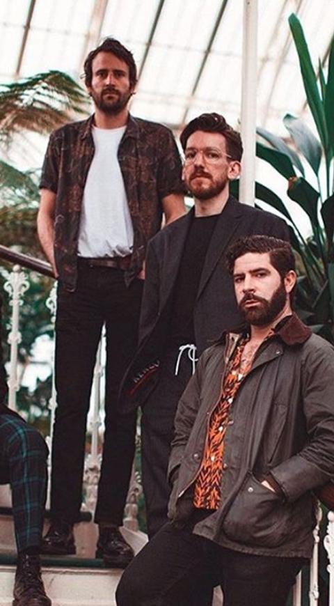 Foals