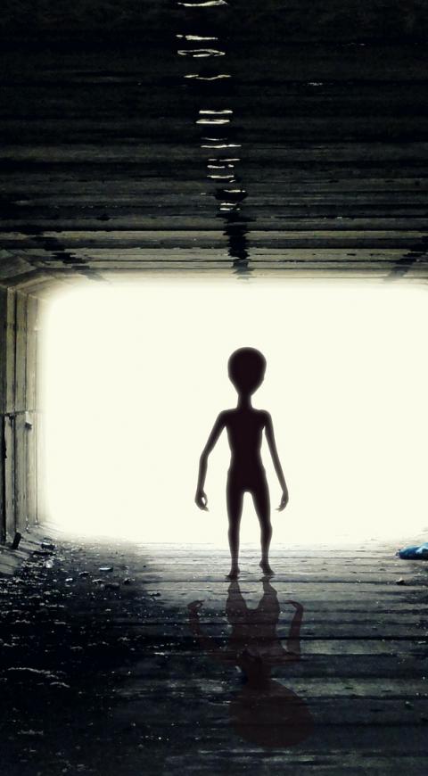 Contactados y OVNIS en El Cartel Paranormal