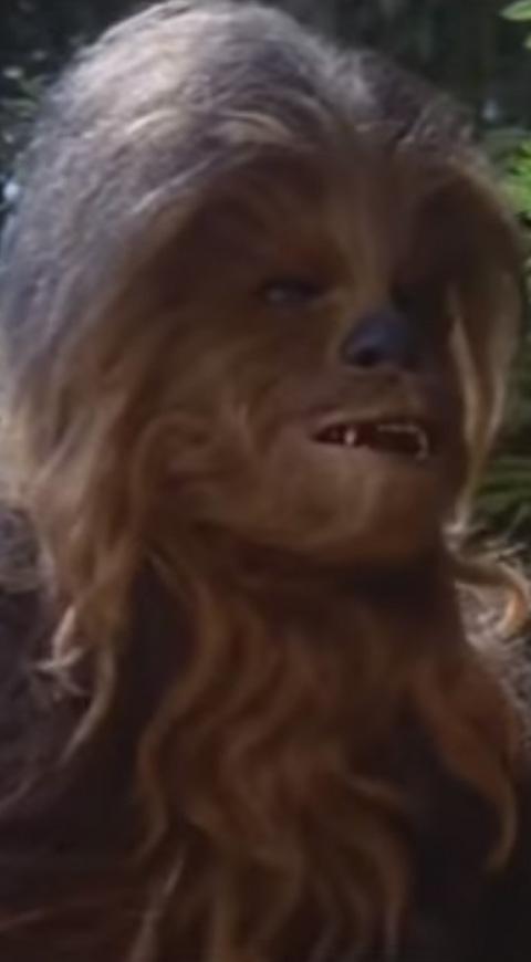 Chewbacca