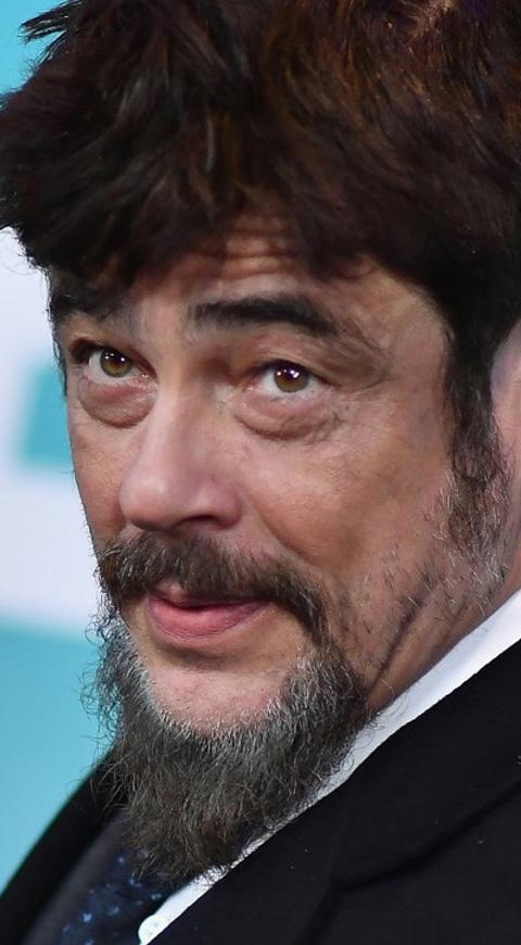 Benicio del Toro