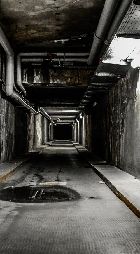 tr