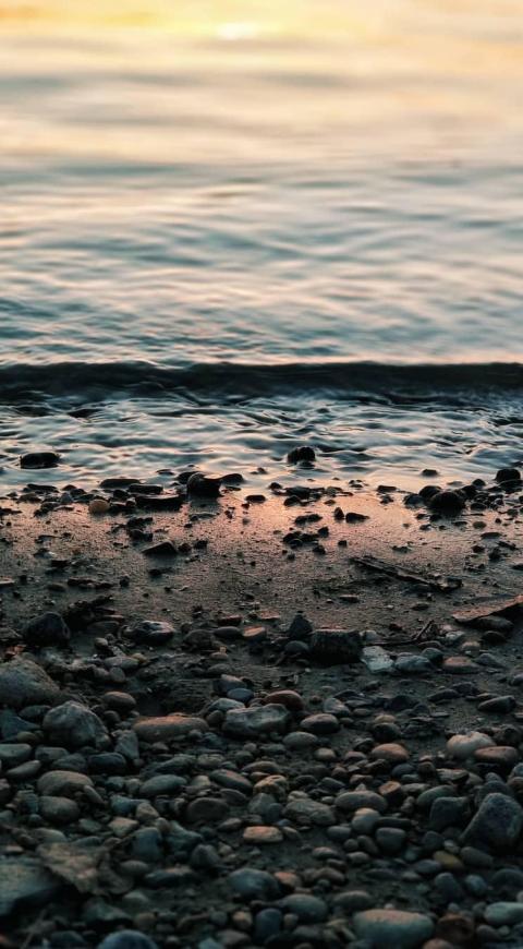 Lago en Novosibirsk