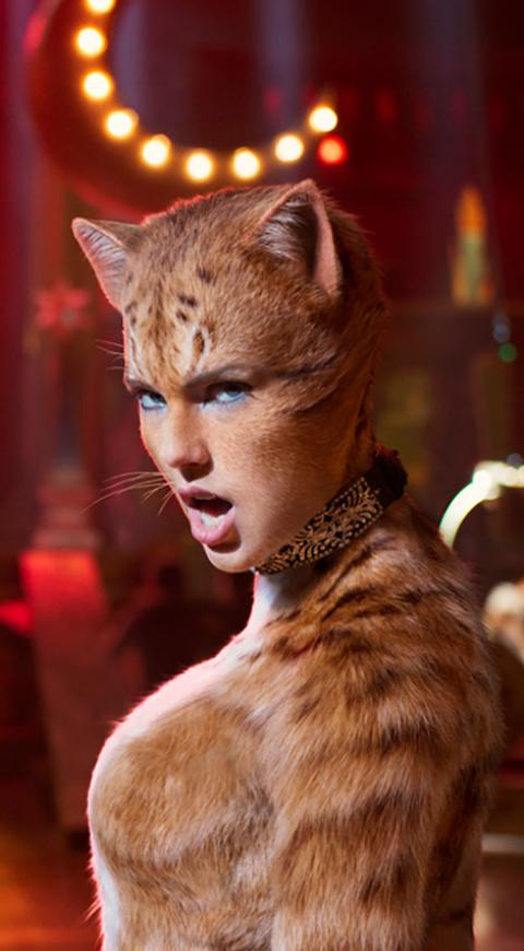 Cats