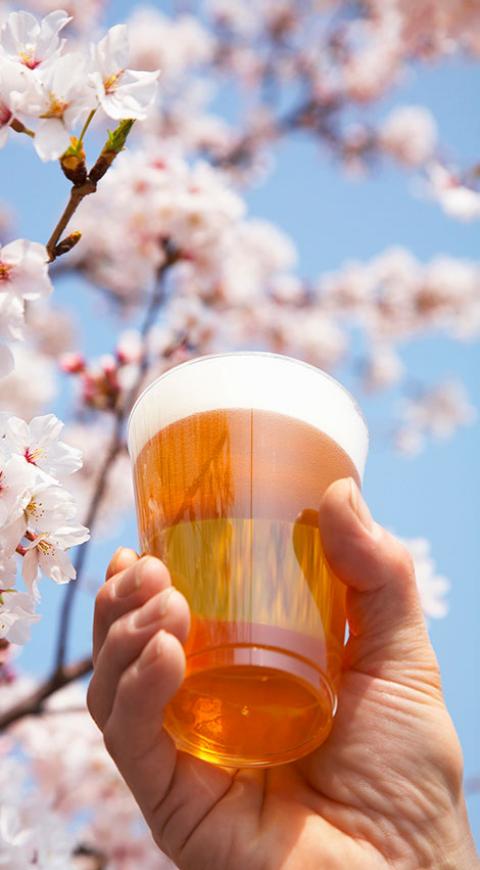 Cerveza