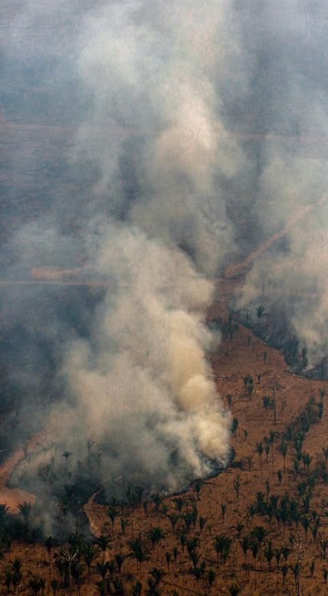 Incendios en la amazonía brasilera