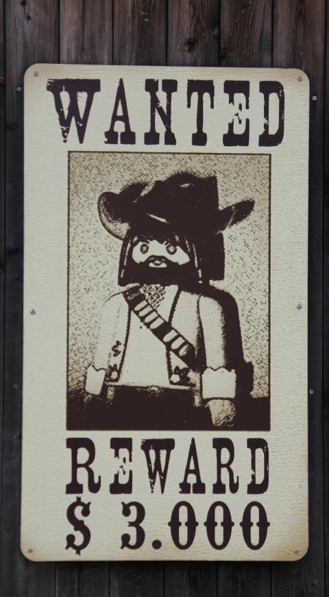 Cartel con Mira y Laguna desaparecidos