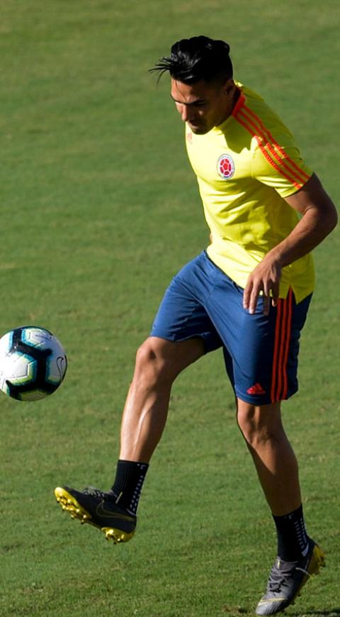 Falcao
