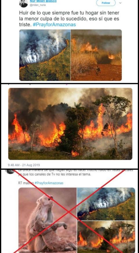 Fotos falsas sobre incendio en la Amazonía