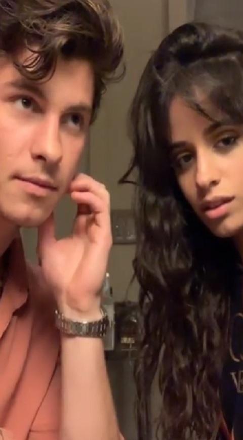 Camila Cabello y Shawn Mendes